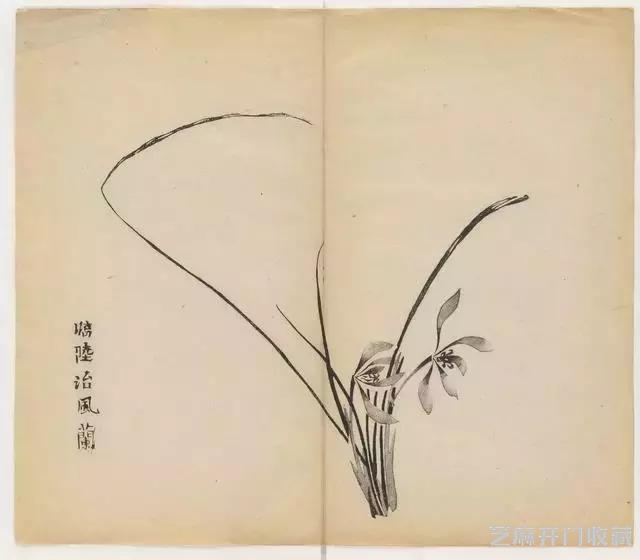 画兰经典范本-《十竹斋兰谱》