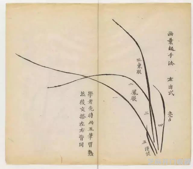 画兰经典范本-《十竹斋兰谱》