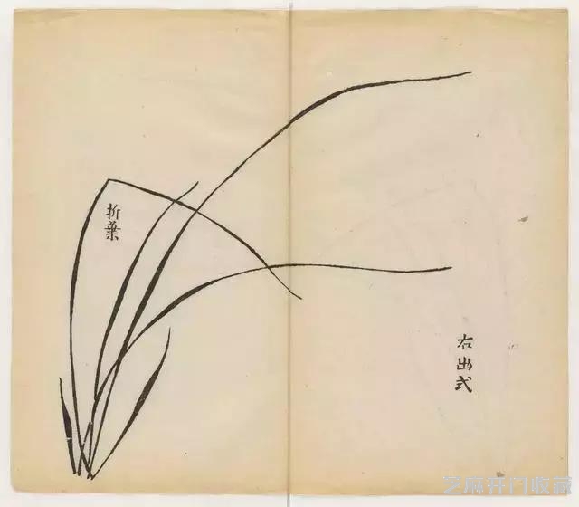 画兰经典范本-《十竹斋兰谱》