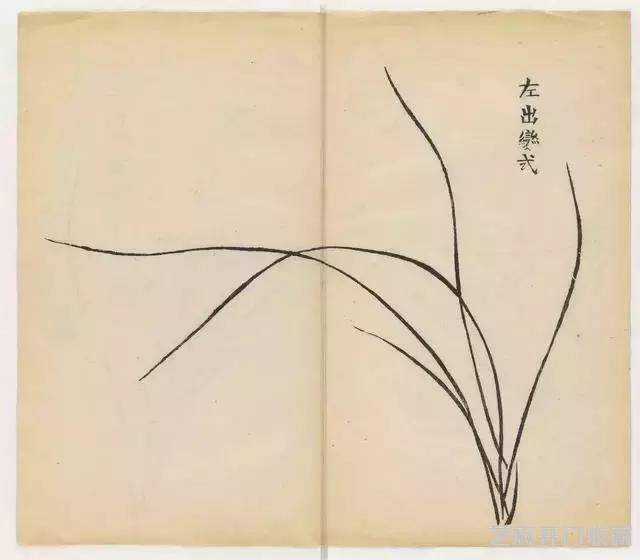 画兰经典范本-《十竹斋兰谱》