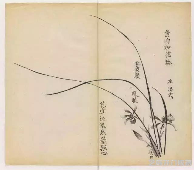 画兰经典范本-《十竹斋兰谱》