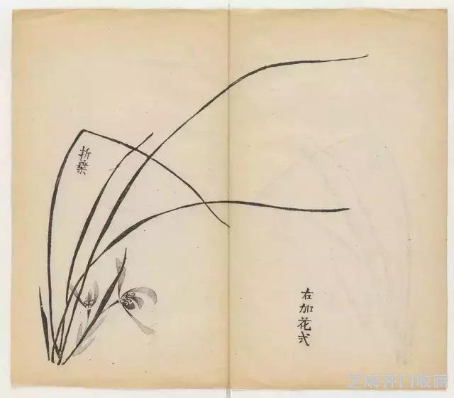 画兰经典范本-《十竹斋兰谱》