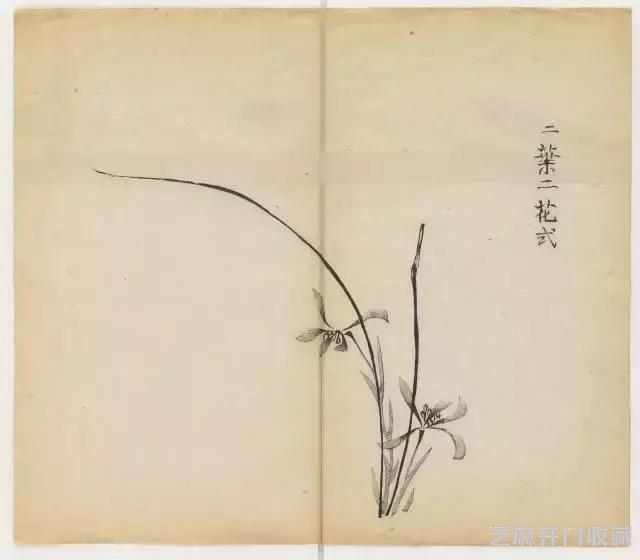 画兰经典范本-《十竹斋兰谱》