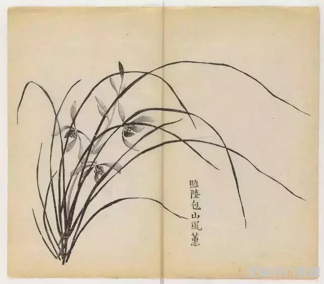 画兰经典范本-《十竹斋兰谱》