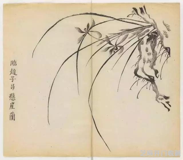画兰经典范本-《十竹斋兰谱》