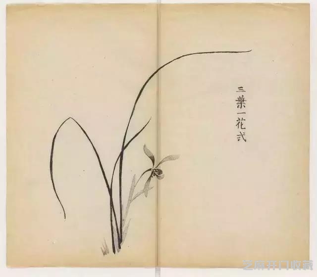 画兰经典范本-《十竹斋兰谱》