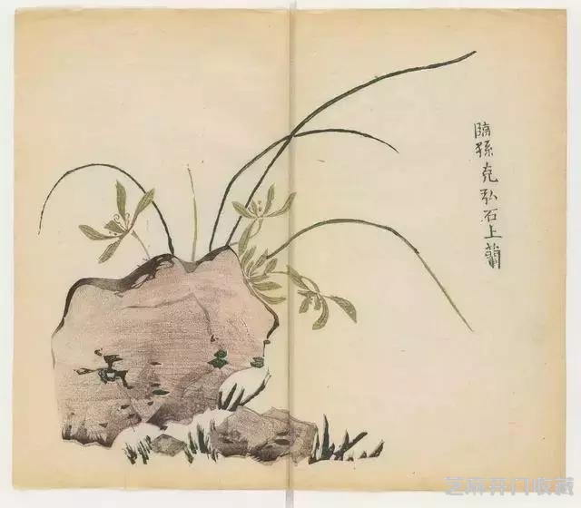 画兰经典范本-《十竹斋兰谱》