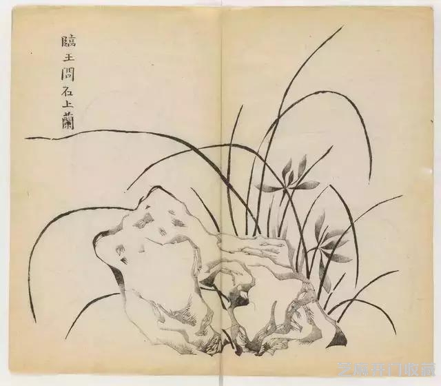 画兰经典范本-《十竹斋兰谱》