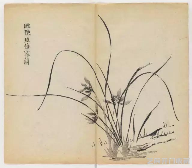 画兰经典范本-《十竹斋兰谱》