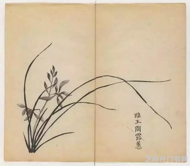 画兰经典范本-《十竹斋兰谱》