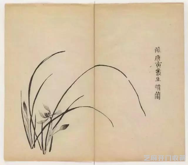画兰经典范本-《十竹斋兰谱》