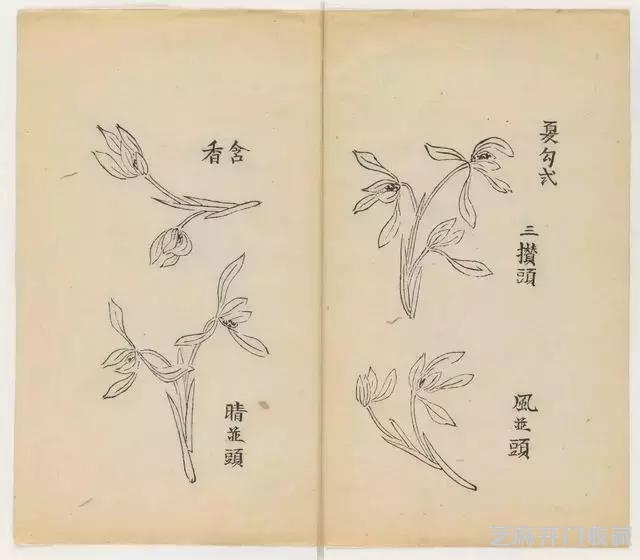 画兰经典范本-《十竹斋兰谱》