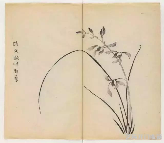 画兰经典范本-《十竹斋兰谱》