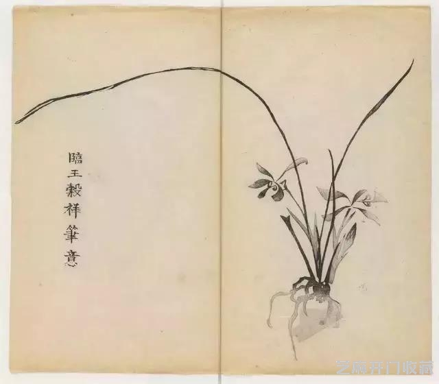 画兰经典范本-《十竹斋兰谱》