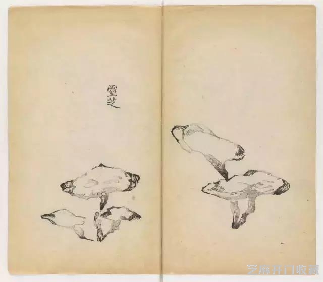 画兰经典范本-《十竹斋兰谱》