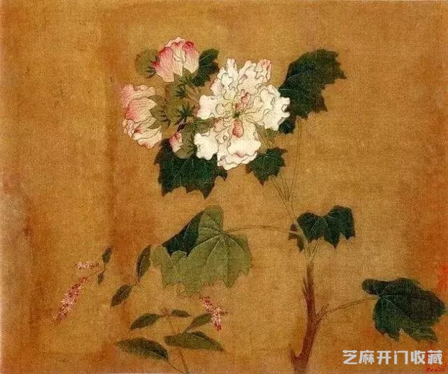 名家黄筌季子 黄居寀《花卉写生图册》欣赏