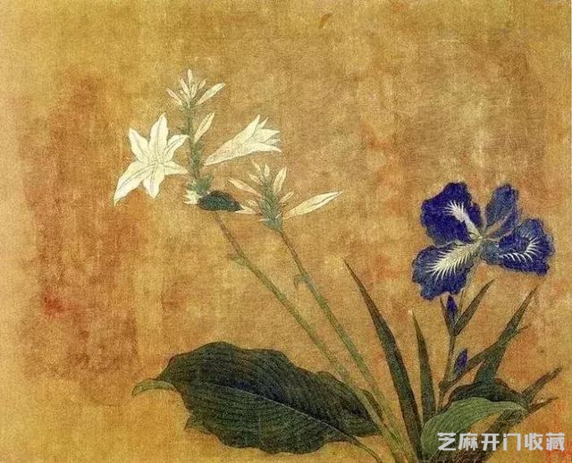 名家黄筌季子 黄居寀《花卉写生图册》欣赏