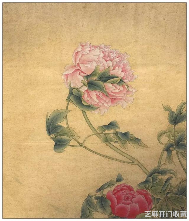 李晓明《国色双辉》绘制步骤（含详细文字解析）