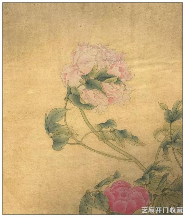 李晓明《国色双辉》绘制步骤（含详细文字解析）