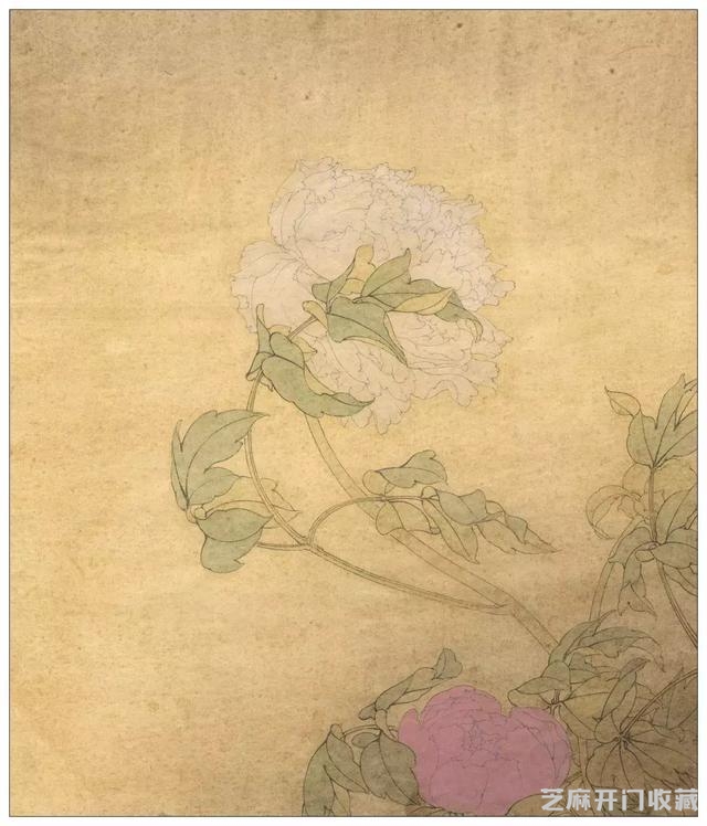 李晓明《国色双辉》绘制步骤（含详细文字解析）