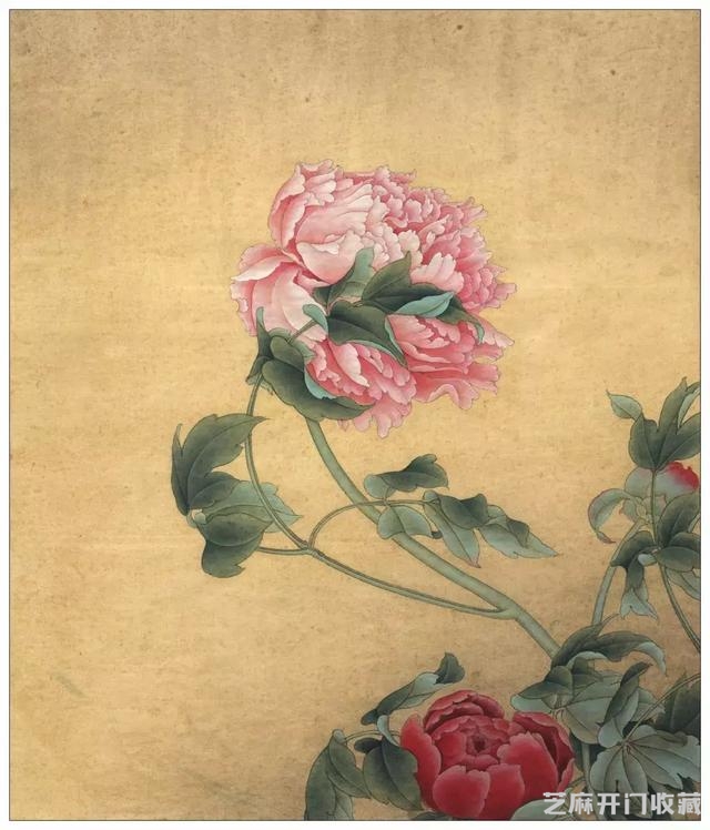李晓明《国色双辉》绘制步骤（含详细文字解析）
