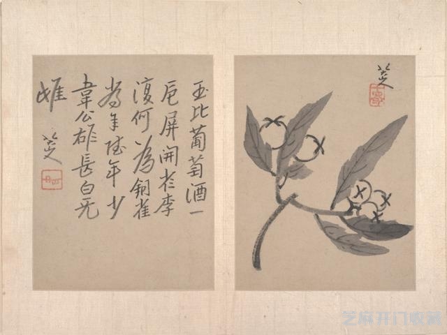 朱耷的精品册页作品欣赏——十二开