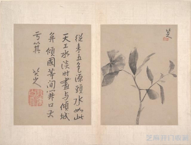 朱耷的精品册页作品欣赏——十二开