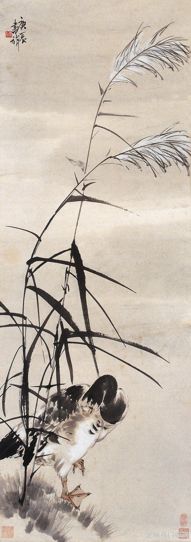 “白粉画家”——张书旂花鸟画大全