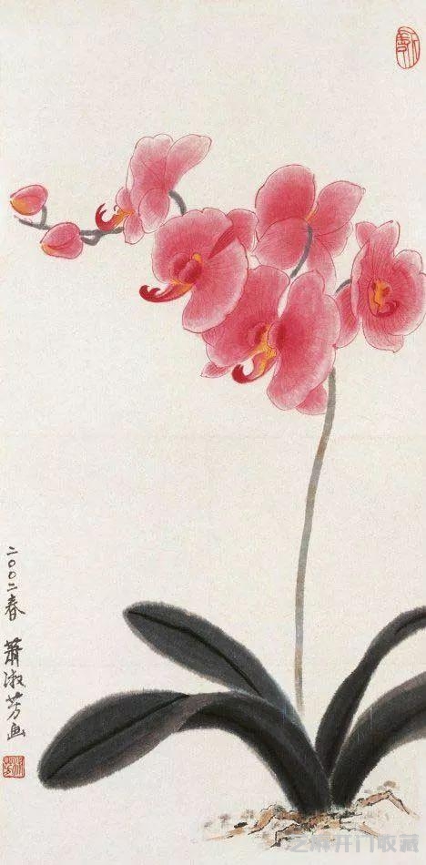 萧淑芳｜漫步在春天里，邂逅在百花间（120幅）