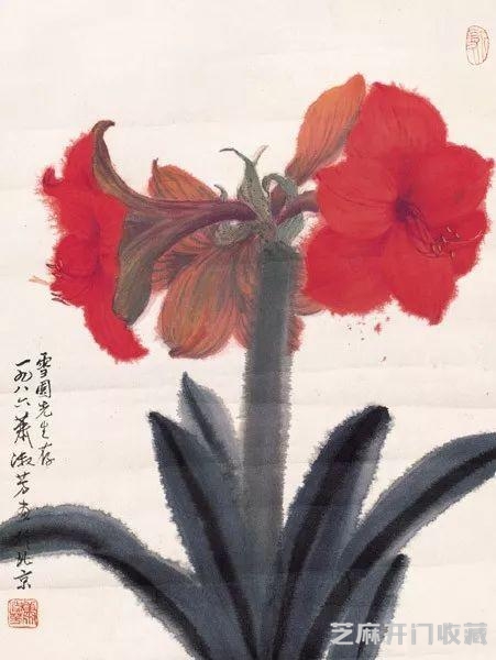 萧淑芳｜漫步在春天里，邂逅在百花间（120幅）