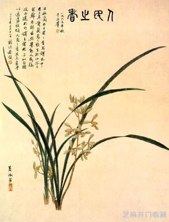 萧淑芳｜漫步在春天里，邂逅在百花间（120幅）