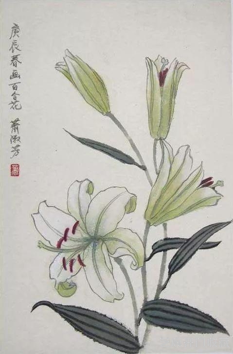 萧淑芳｜漫步在春天里，邂逅在百花间（120幅）