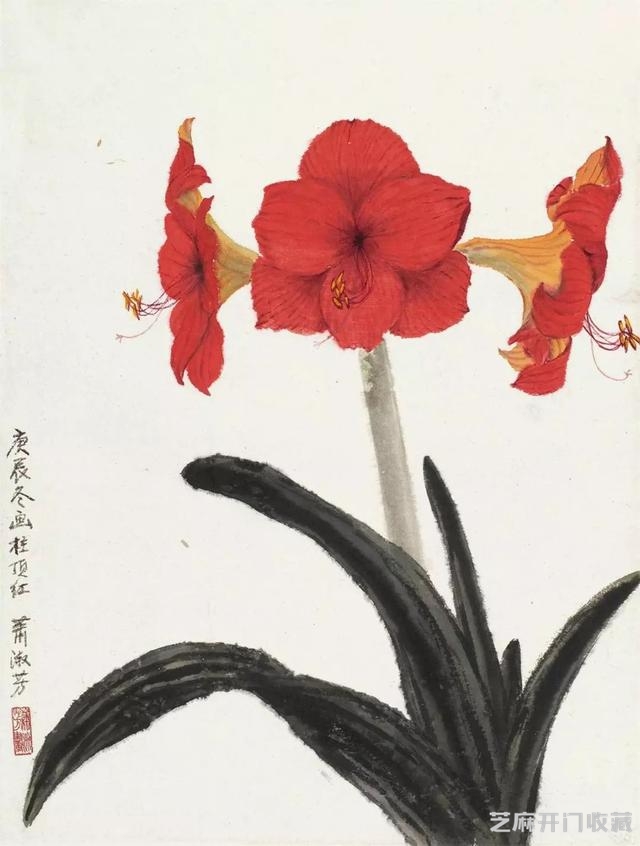 萧淑芳｜漫步在春天里，邂逅在百花间（120幅）