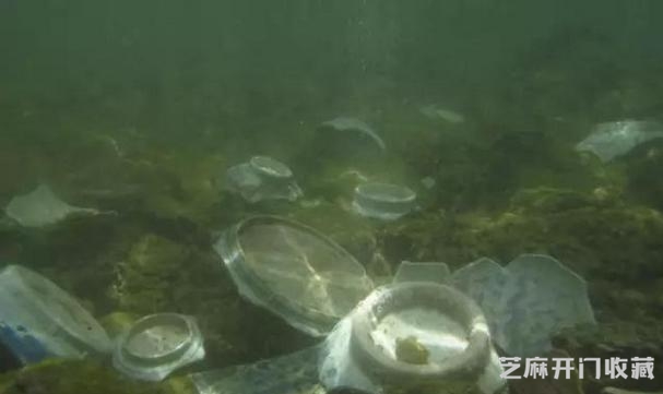 故宫专家讲：海捞瓷器鉴定的方法