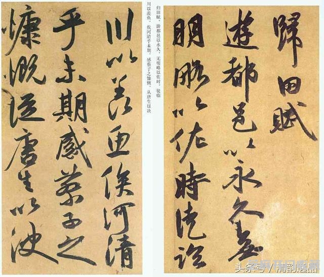 明代书法：祝允明行草《归田赋》欣赏