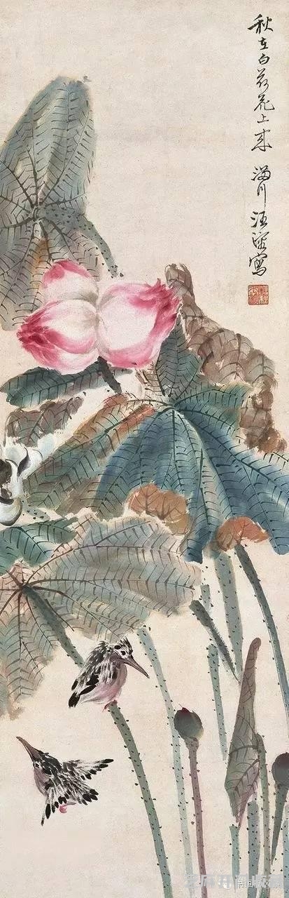 民国花鸟大师汪慎生画荷！