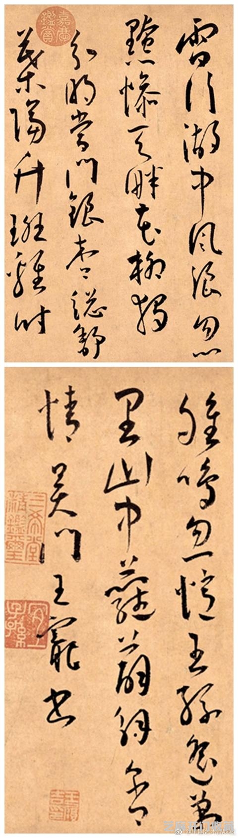 “以拙取巧”的王宠——草书欣赏