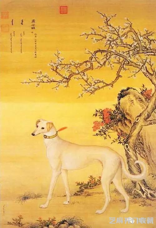 郎世宁十犬图欣赏