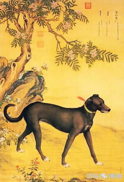 郎世宁十犬图欣赏