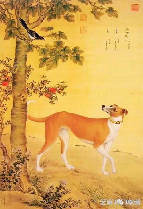 郎世宁十犬图欣赏