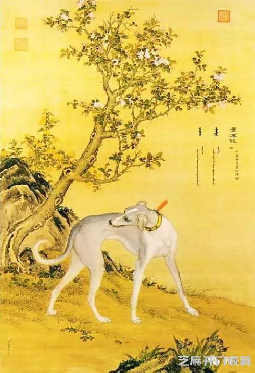 郎世宁十犬图欣赏