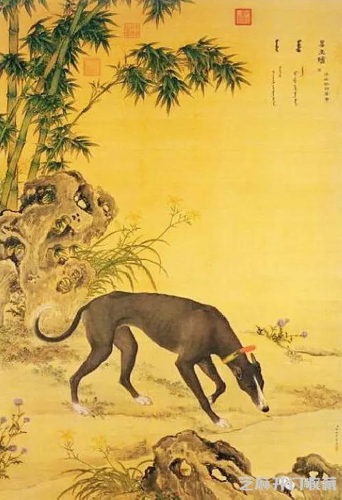 郎世宁十犬图欣赏