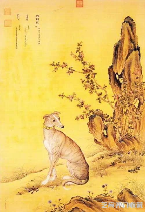 郎世宁十犬图欣赏
