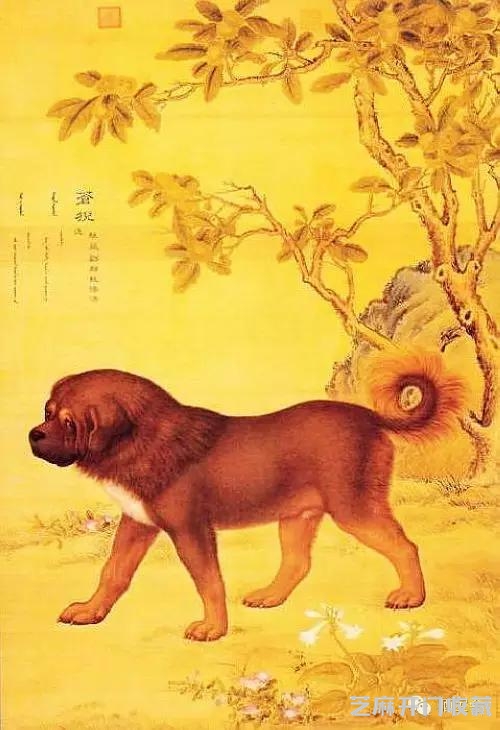 郎世宁十犬图欣赏