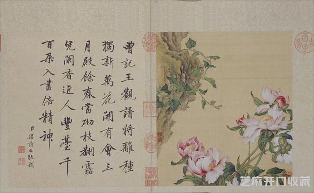 清代郎世宁花鸟图册