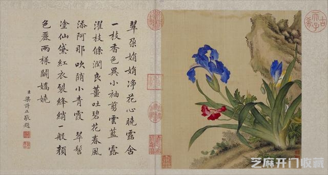 清代郎世宁花鸟图册