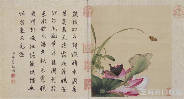 清代郎世宁花鸟图册