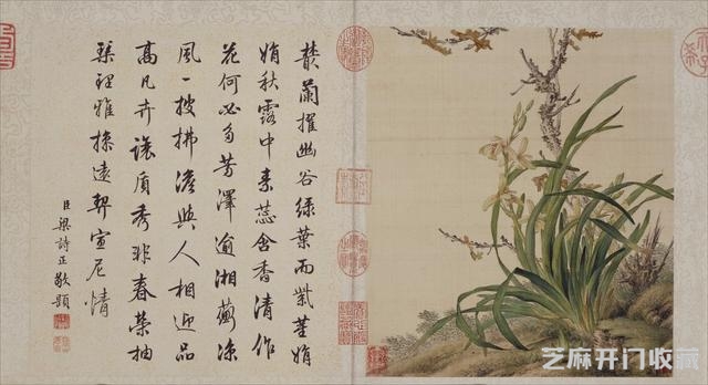 清代郎世宁花鸟图册