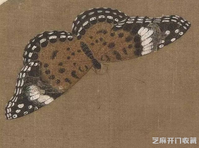 「国画精赏」宋 · 朱绍宗《菊丛飞蝶图》高清详解