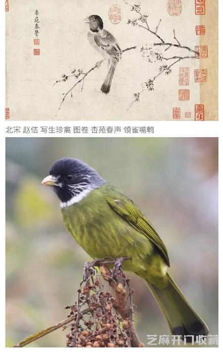 宋徽宗赵佶酷爱艺术，不仅擅长书法，而且在绘画上也有较高的造诣